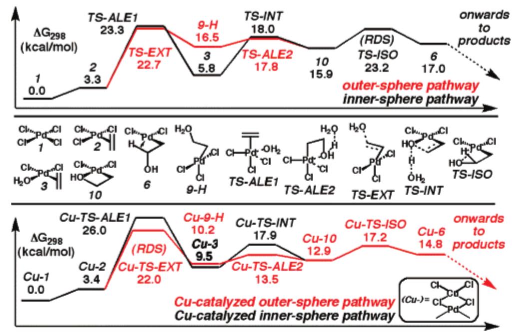 (PDF) Unraveling the Wacker Oxidation Mechanisms