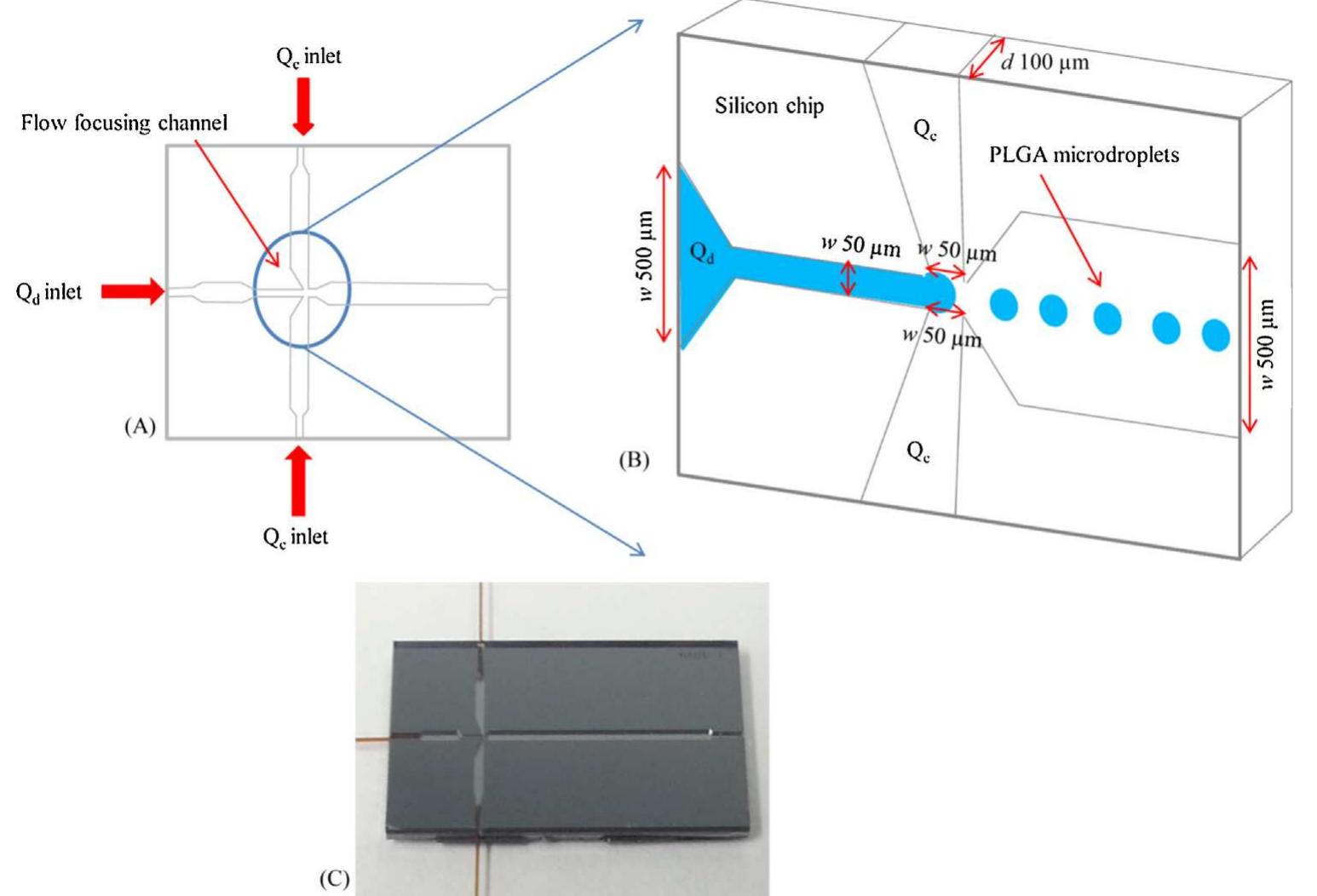 (a) schematic drawing of the silicon microfluidic chip. (b)