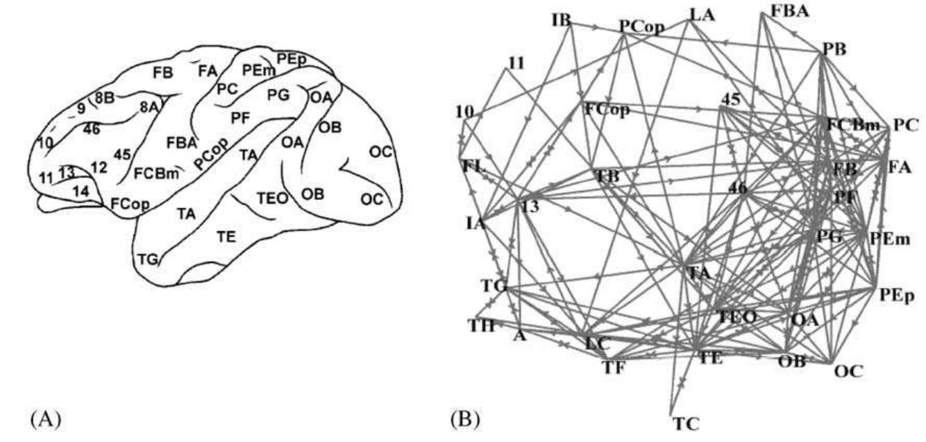 8. from ref. [210] dm model. schematic view of the network