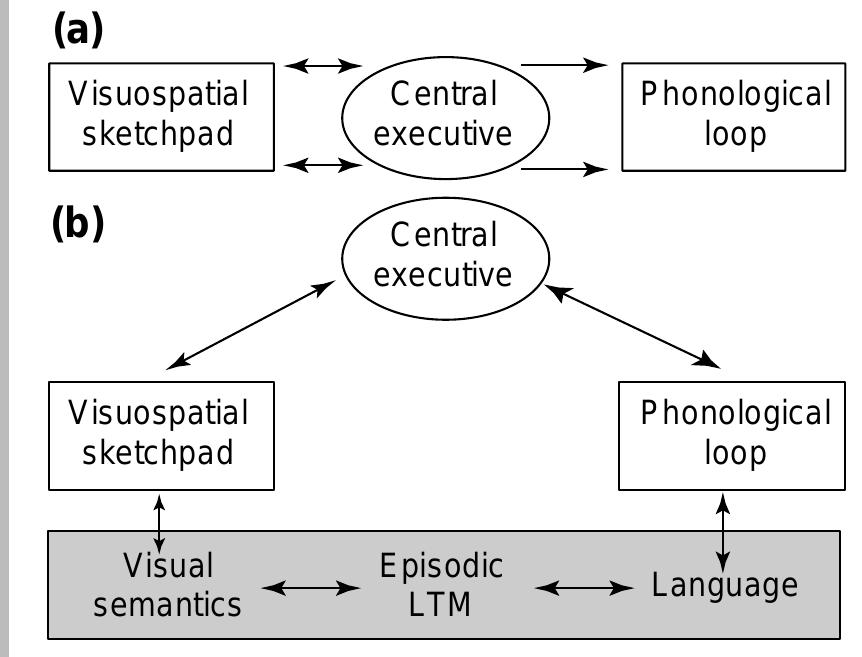 Figure 1 - from The episodic buffer: a new component of