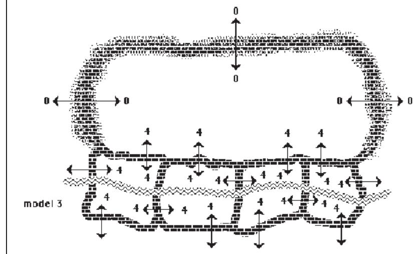 Figure 3 - from Becoming Australian: evolutionary processes