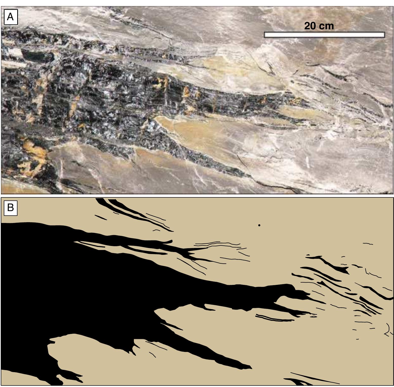 (a) mine-wall photograph and (b) interpretation (red lines)