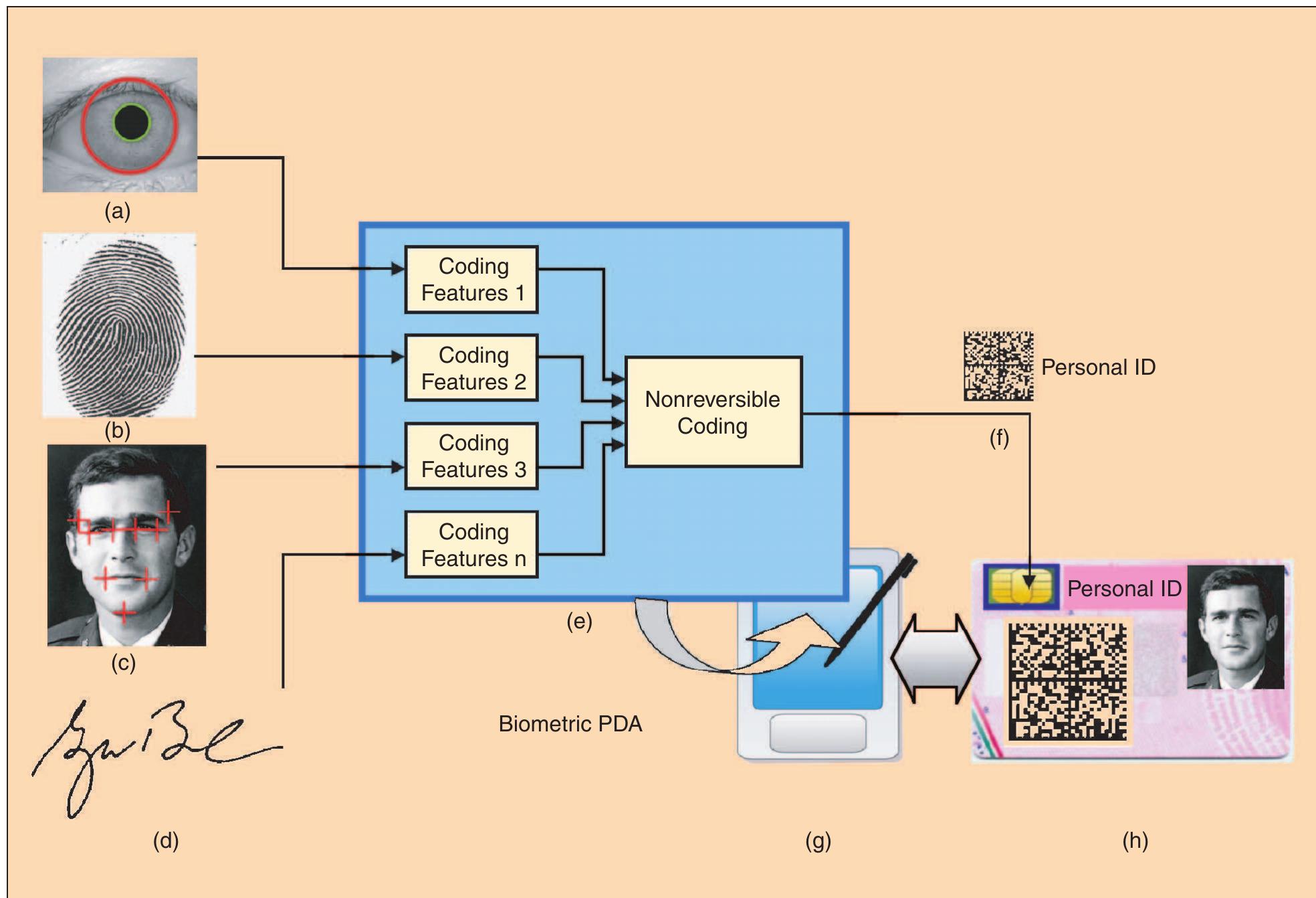 The overall structure of a biometric system. identity of the