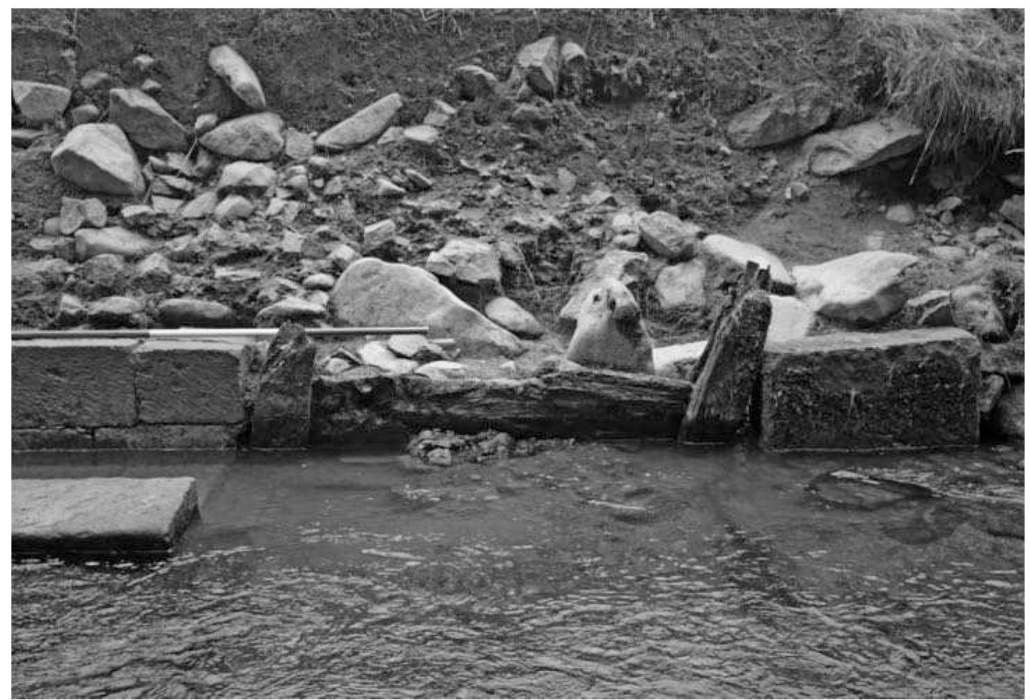 Left to right: timbers [352], [353], [354] and part of block