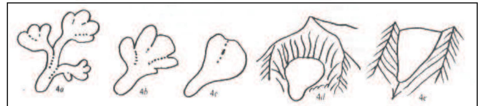 Figure 15: Glacier C lassification- Form a) Compound basins, b) C ompound basin c) Simple basin d) Cirque e) Niche (After Muller, 1977) 