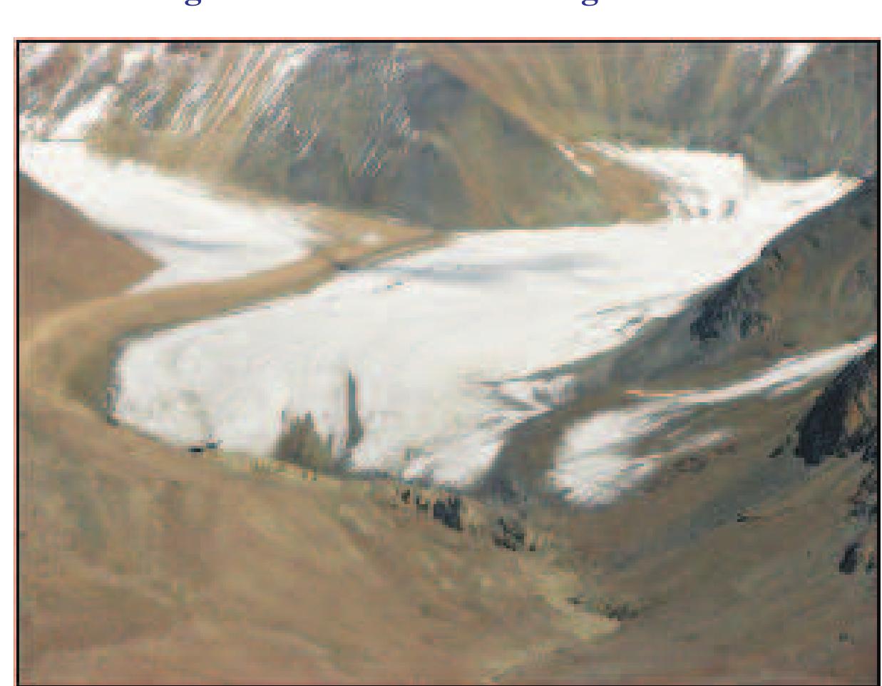 Figure 50: Glacier with fresh snow on its ablation zone in Bhaga basin near Bara-La Cha pass. 