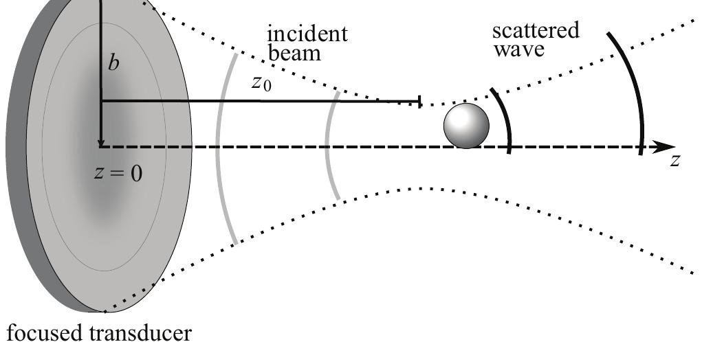 (PDF) Acoustic radiation force and torque on an absorbing compressible ...