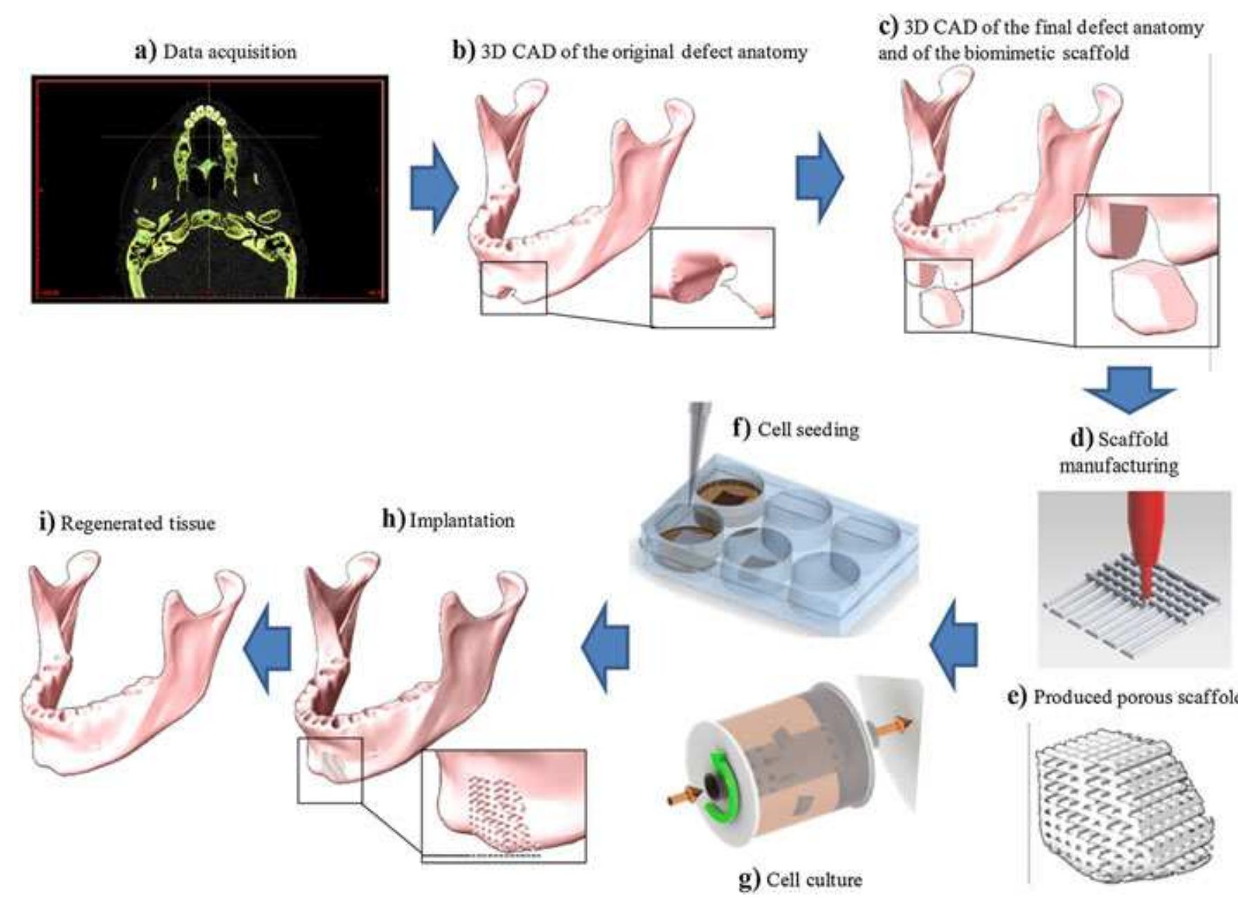 (PDF) Additive manufacturing techniques for the production of tissue ...