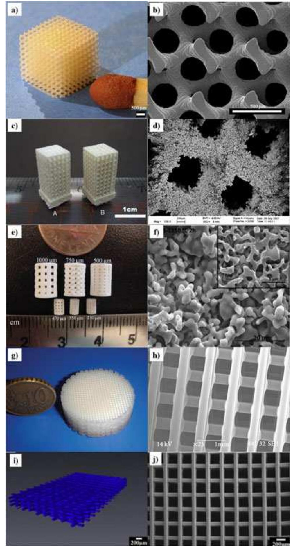 (PDF) Additive manufacturing techniques for the production of tissue ...