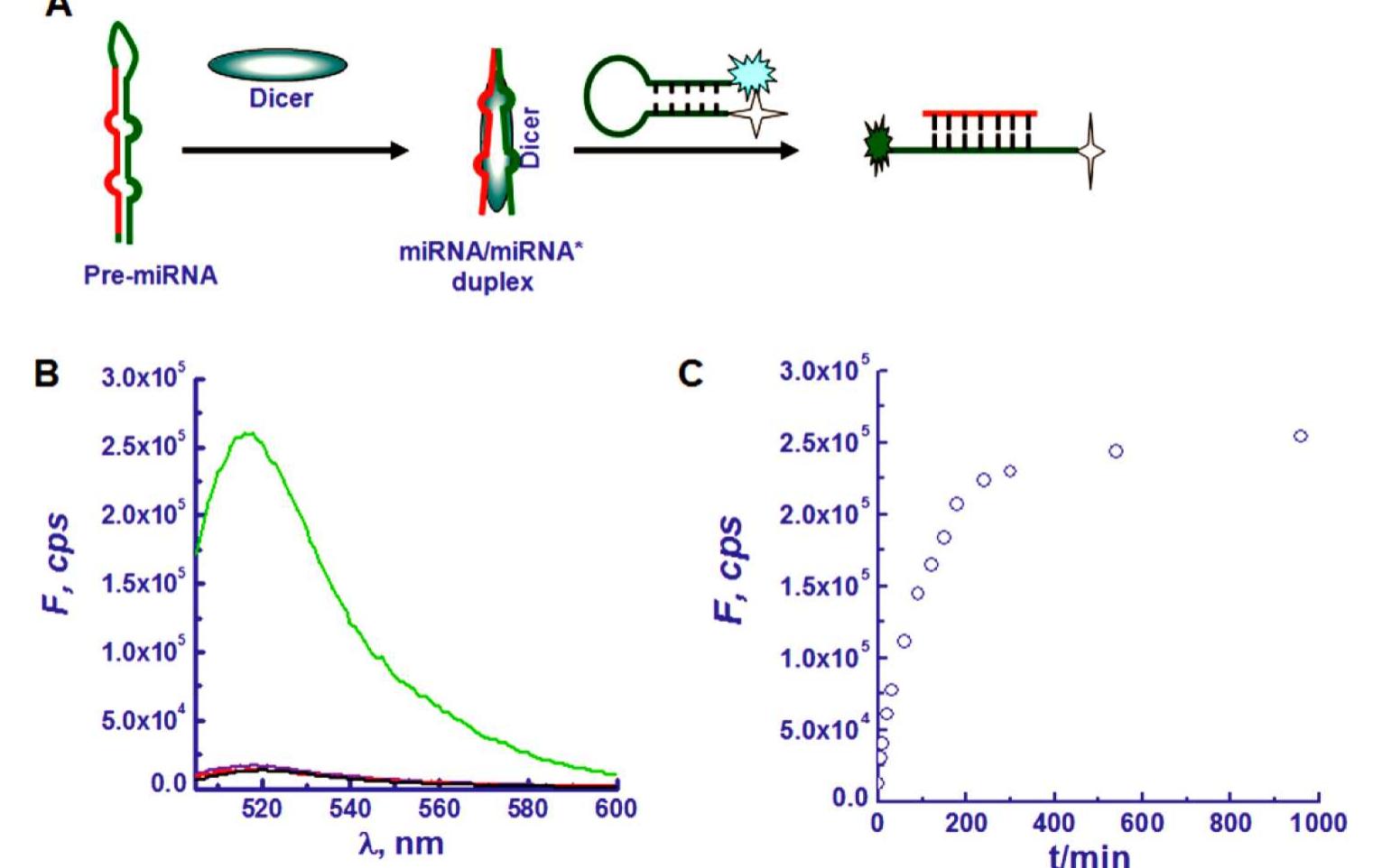 Figure 2 - from A molecular-beacon-based screen for small