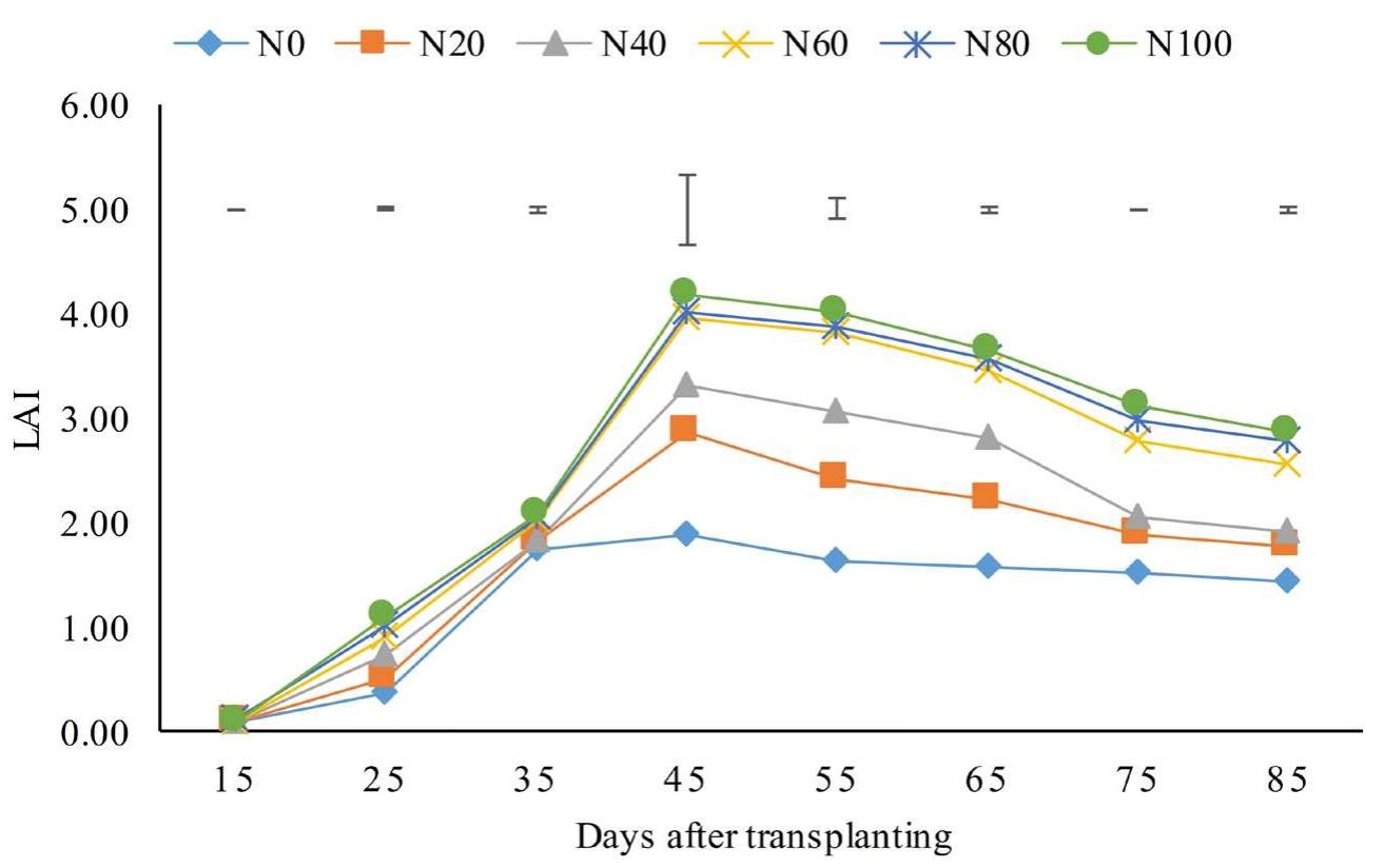 (PDF) Growth, Yield and Nitrogen Use Efficiency of New Rice Variety ...