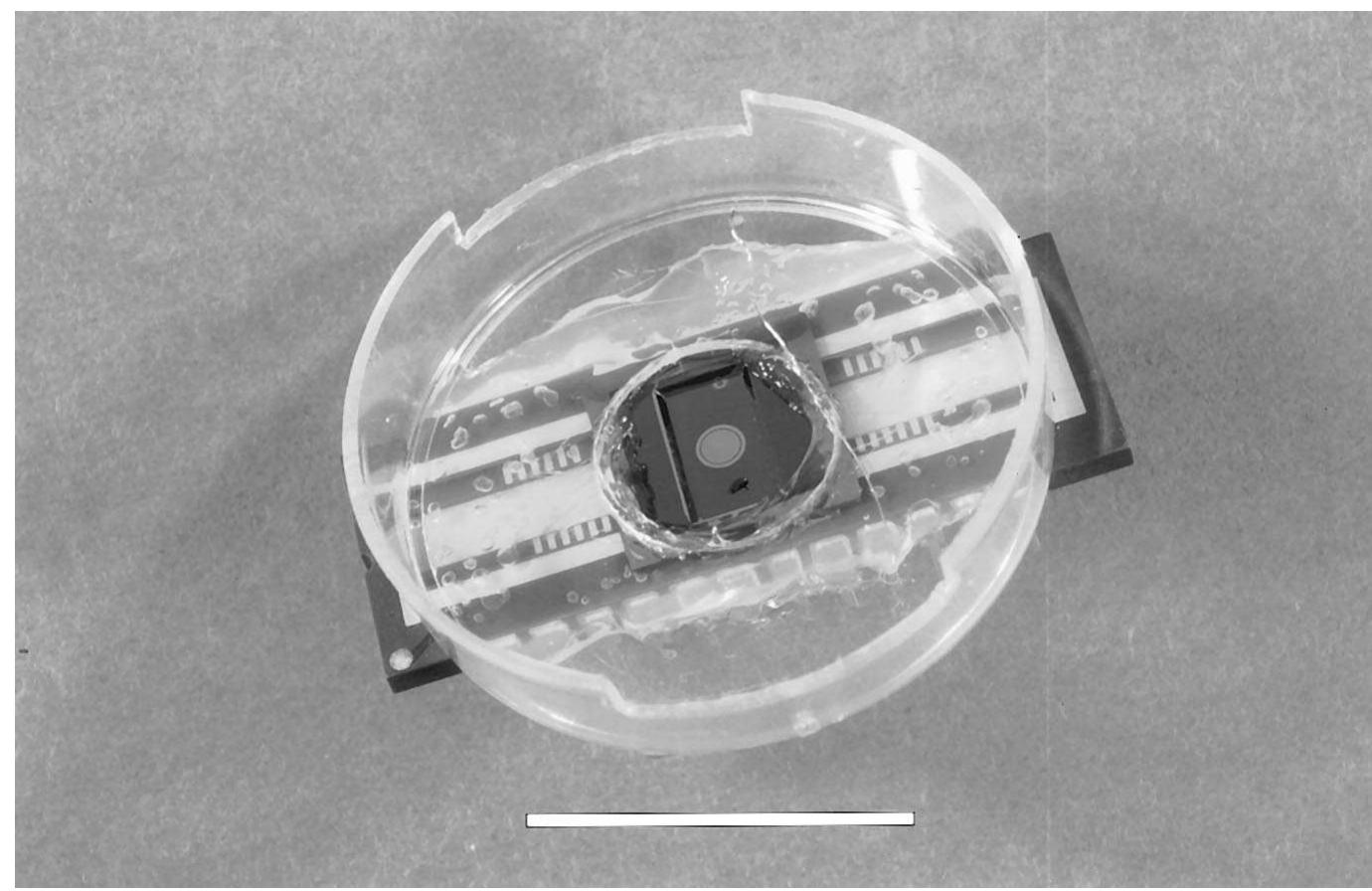 Figure 1 - from The neurochip: a new multielectrode device