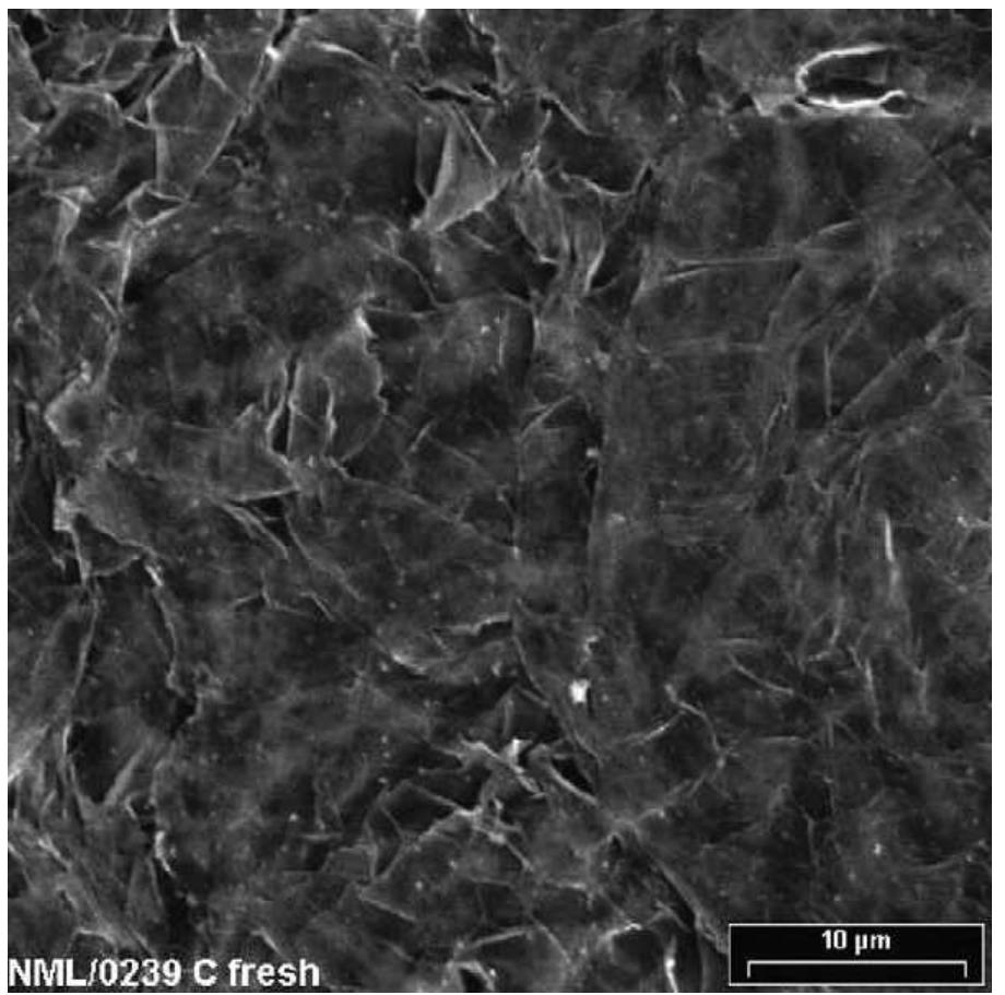 Scanning electron micrograph of graphite sheet.
