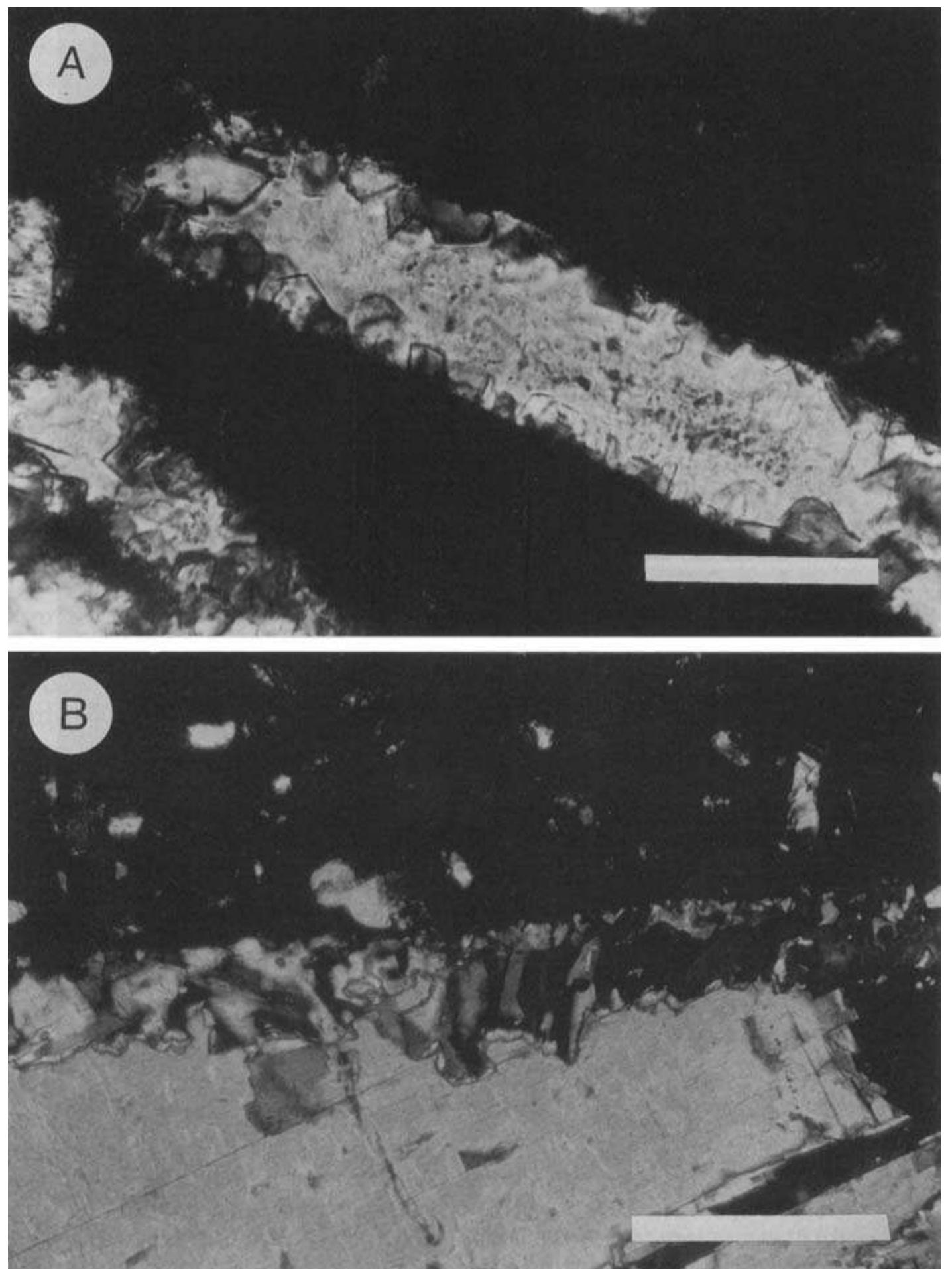 Petrography of secondary gypsum that formed during