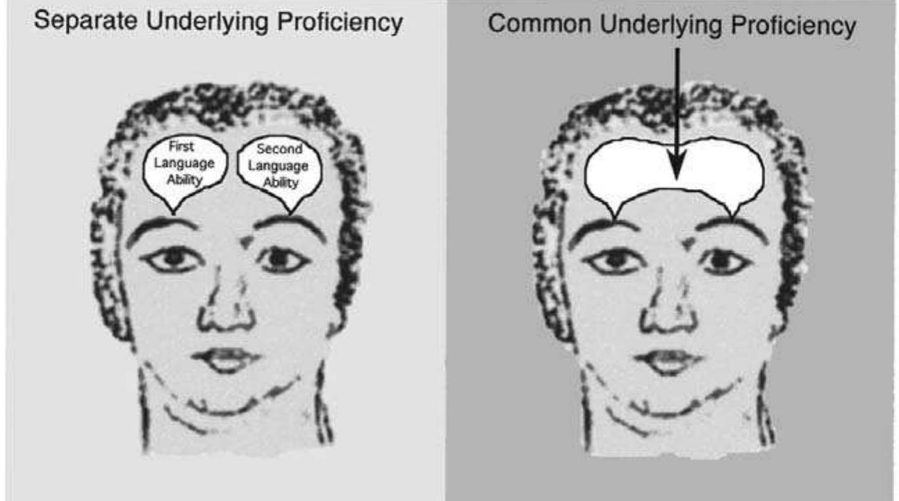 Figure 11 - from Baker