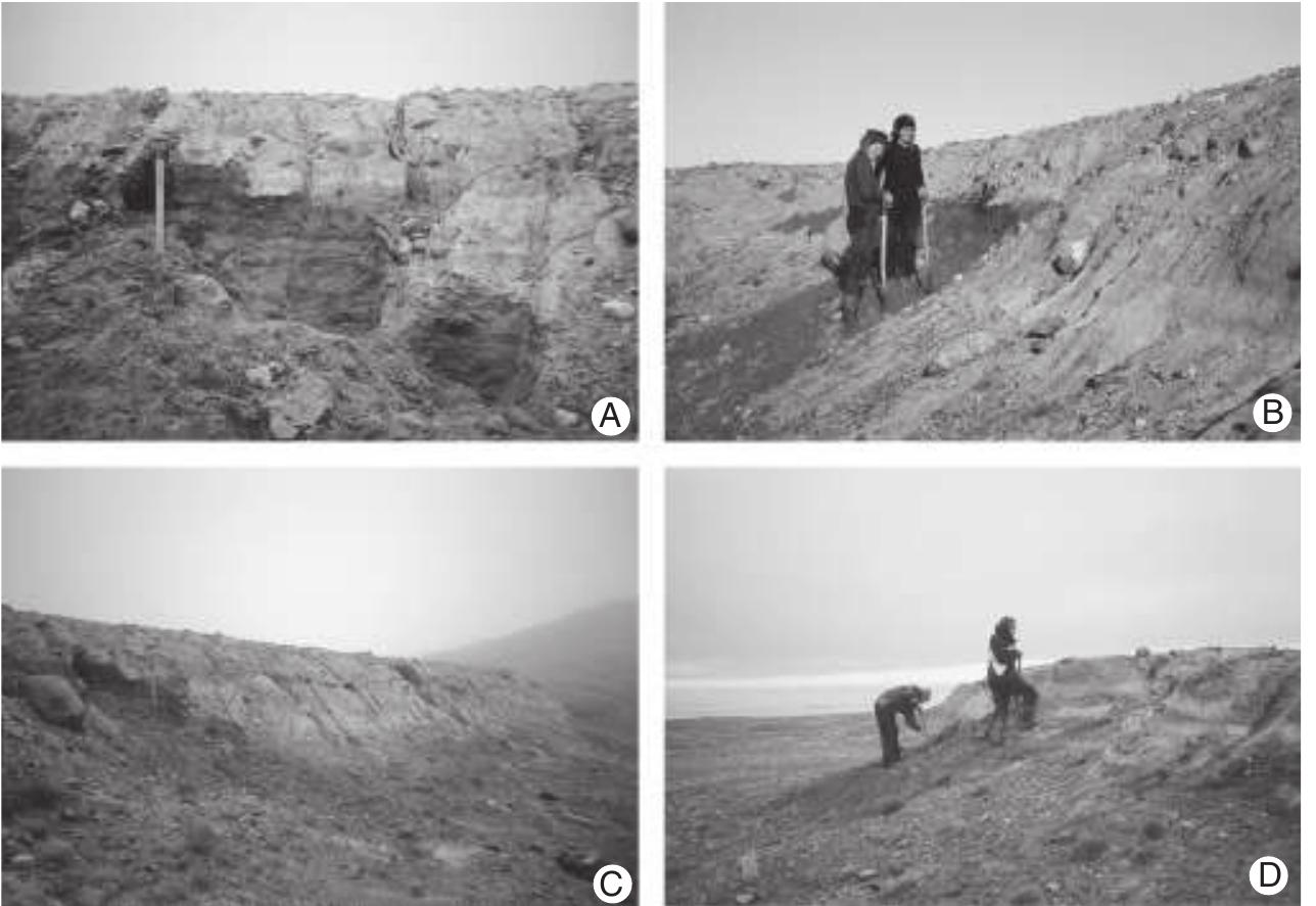Figure 1 - from Early Pleistocene sediments on Store