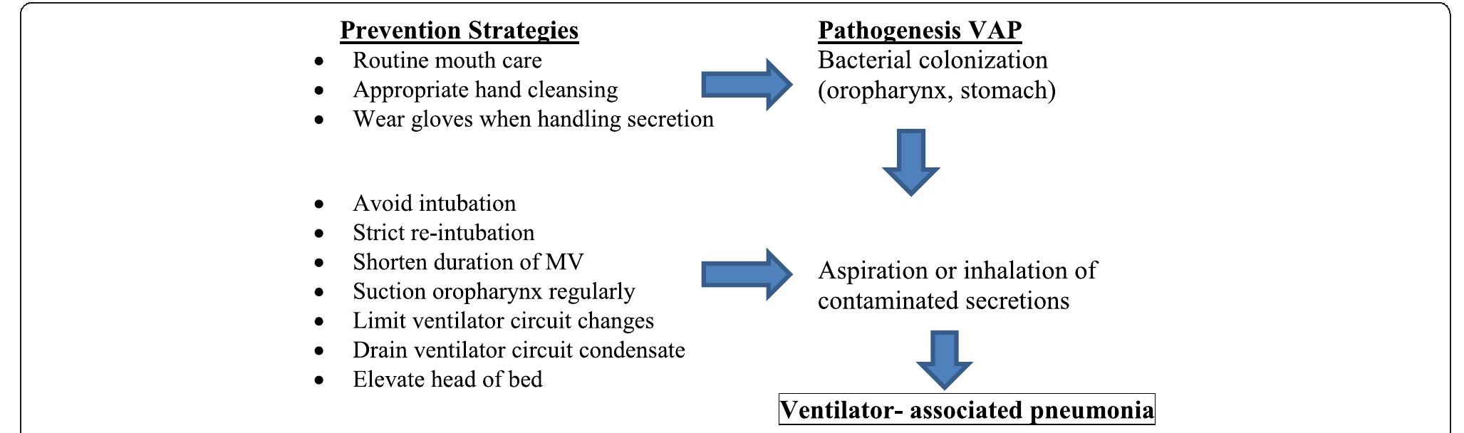 paboo vap VAP prevention & tracheal secretion removal without the need for suctioning