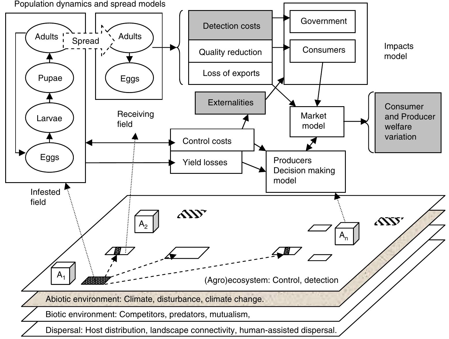 (PDF) Towards the integration of spread and economic impacts of ...