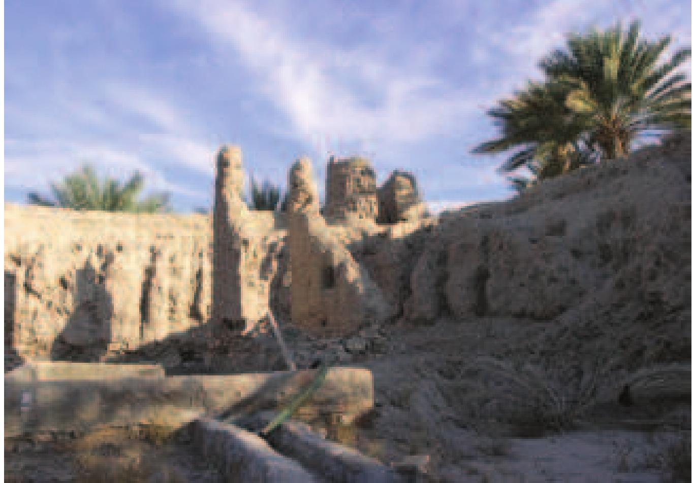 waters of Zamzam came to be venerated by the settled and the badu population alike, who would make annual pilgrimage in very much the same way as the Muslims do today. The sanctuary of the Kacbah developed in a manner similar to some of the other Semitic water and Baal worship traditions we have seen before. Zamzam was a spring which gave rise to the sanctuary (bayt) nearby; eventually the temple precinct, and finally the entire settlement of Mecca came to  be regarded as sacred territory (haram). Probably around the beginning of the Christian era the guardianship of the Kasbah (wilayat al-bayt), belonging to the Quraysh by virtue of descent from Ishmael, was usurped by the Jurhum. However, because of the sins committed by the Jurhum, they were ousted from Mecca around the third century AD. Soon after, Zamzam ‘disappeared’ or dried up and was lost, along with the treasures  of the bayt deposited by the last Jurhumi king, which included among other things, two golden gazelles (ghazalay al-Ka‘bah), some armour, swords of a type called qal‘i, and the famous black stone (hajar al-rukn). The rediscovery of Zamzam is associated with the grandfather of the Prophet, ‘Abd al-Muttalib (born c. 497 AD) (Hawting  1980: 44-45; also, Muir 1912: c & cxiv). We are told that the location of the well was revealed through a series of four dreams:  centralised hadr territoriality to include the land frequented by the nomads (badu). 