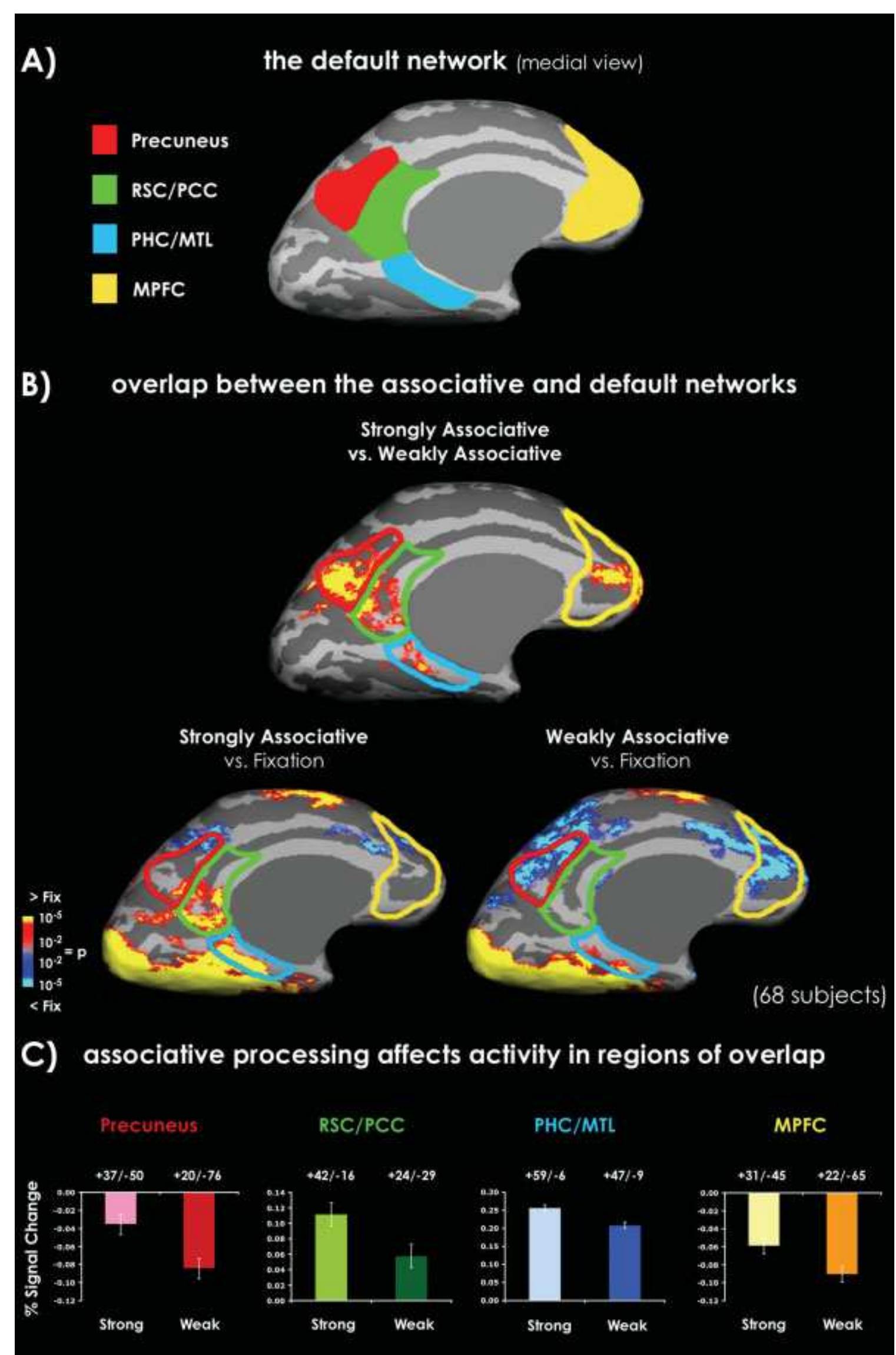 Of the many purported explanations for the cognitive proc- esses that underlie the activity in the default network, perhaps the most dominant is that it arises when people “mindwander,” or engage in thought that is unrelated to the external environ- ment (Mason et al., 2007) and that activity in these regions attenuates when people perform tasks that are attentionally demanding. In other words, these regions “deactivate” when   (which together will be referred to here as medial prefrontal cortex; MPFC), precuneus, retrosplenial cortex (RSC), and pos- terior cingulate cortex (PCC) (which together will be referred to here as medial-parietal cortex; MPC), regions of the medial temporal lobe (MTL) (Fig. 1A) and lateral parietal regions such as the supramarginal and angular gyri (Andreasen et al., 1995; Greicius et al., 2004; Buckner et al., 2005). 