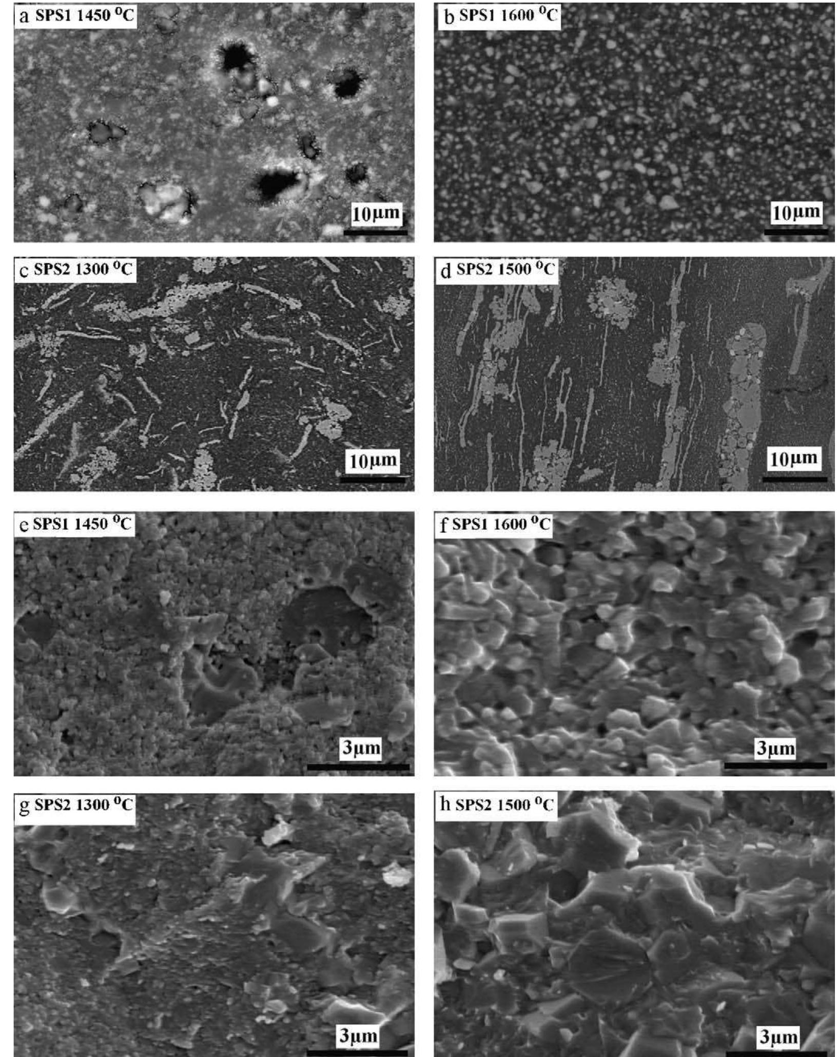Bse images of polished surfaces (a-d) and se images of