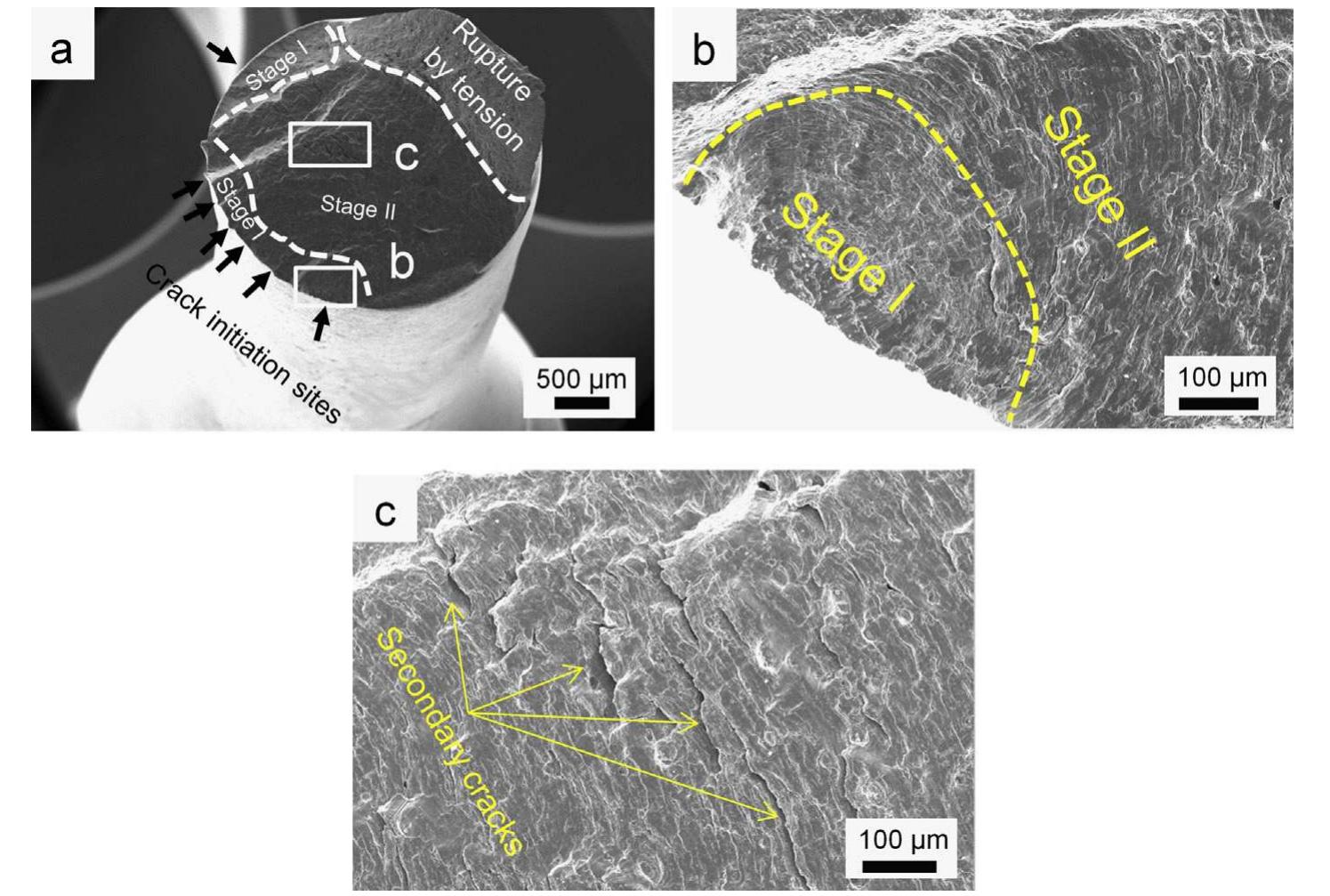 (PDF) Low cycle fatigue behavior of a modified 9Cr–1Mo ferritic ...