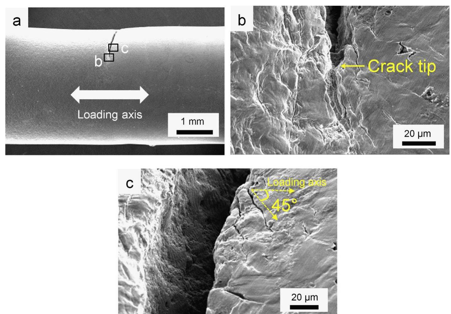 (PDF) Low cycle fatigue behavior of a modified 9Cr–1Mo ferritic ...