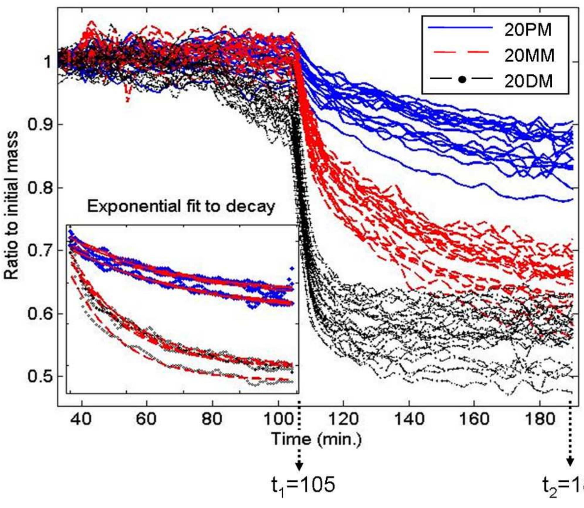 (PDF) Label-free microarray imaging for direct detection of DNA ...