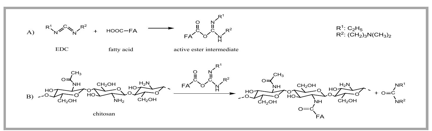 (PDF) Chemical modification of chitosan with fatty acids