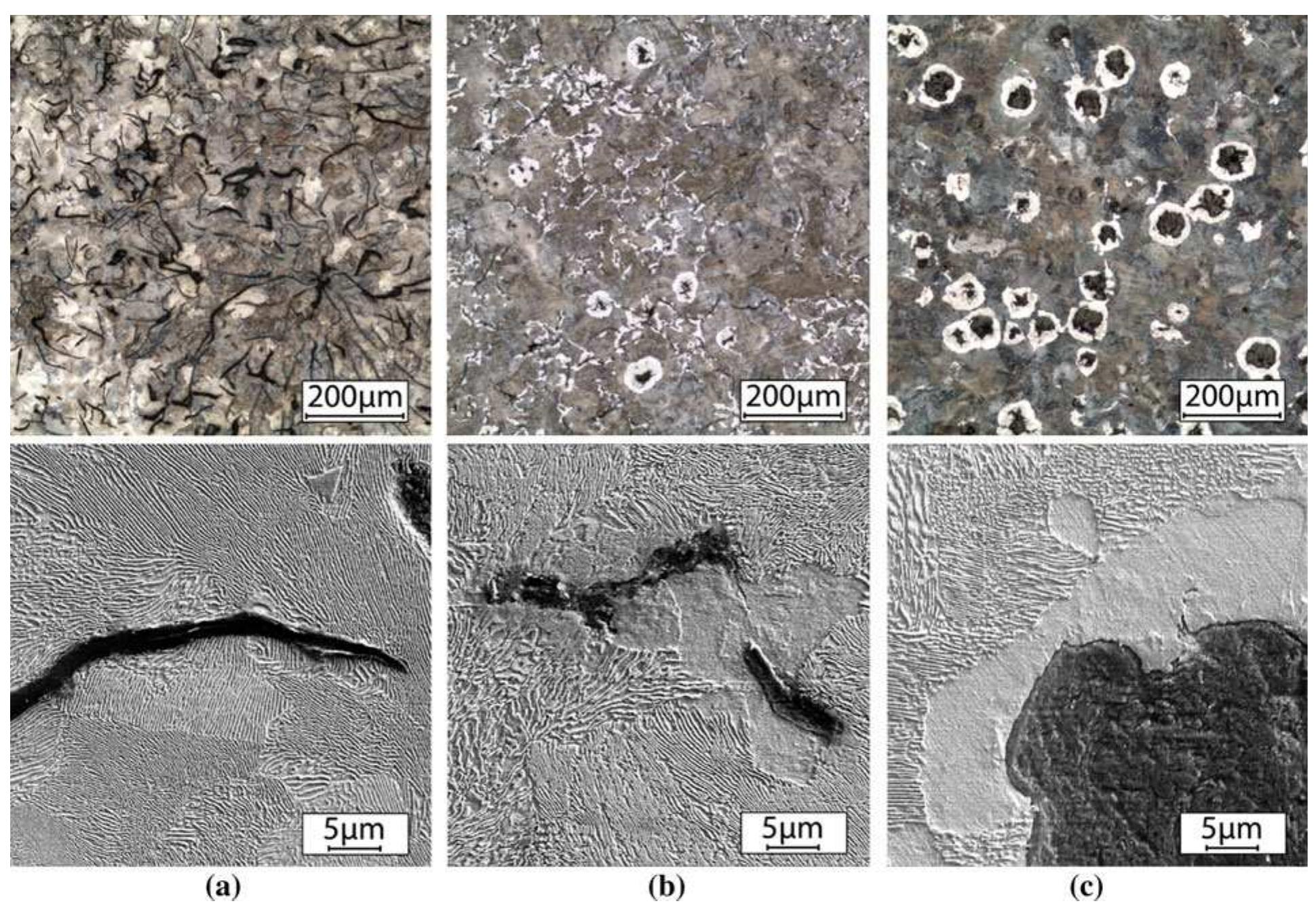 I—lm and sem micrographs of the microstructure of the cast
