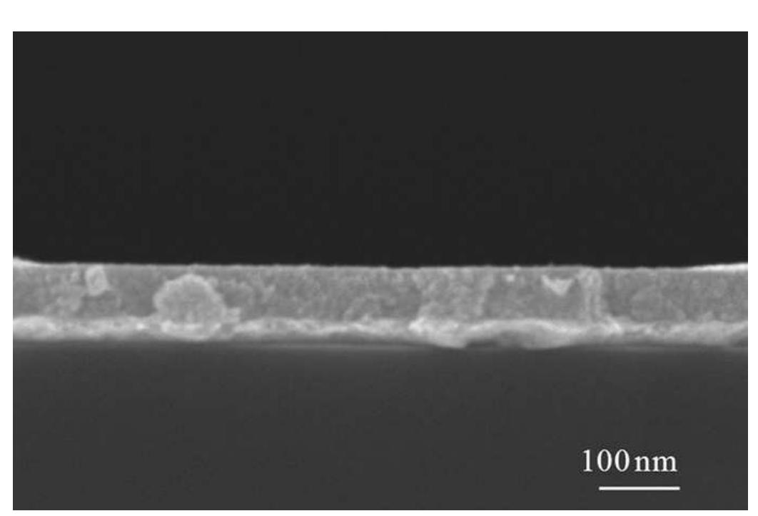 Cross-section sem micrograph of a coated sample treated at