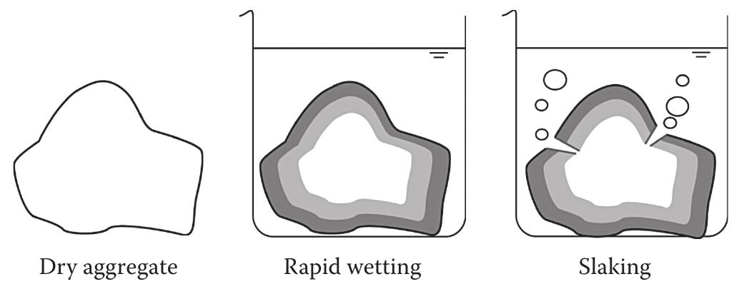 (PDF) Soil Structure