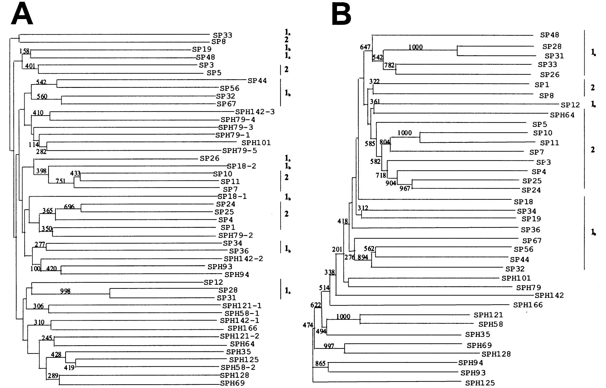 Figure 5 - from Serine proteases and their homologs in the