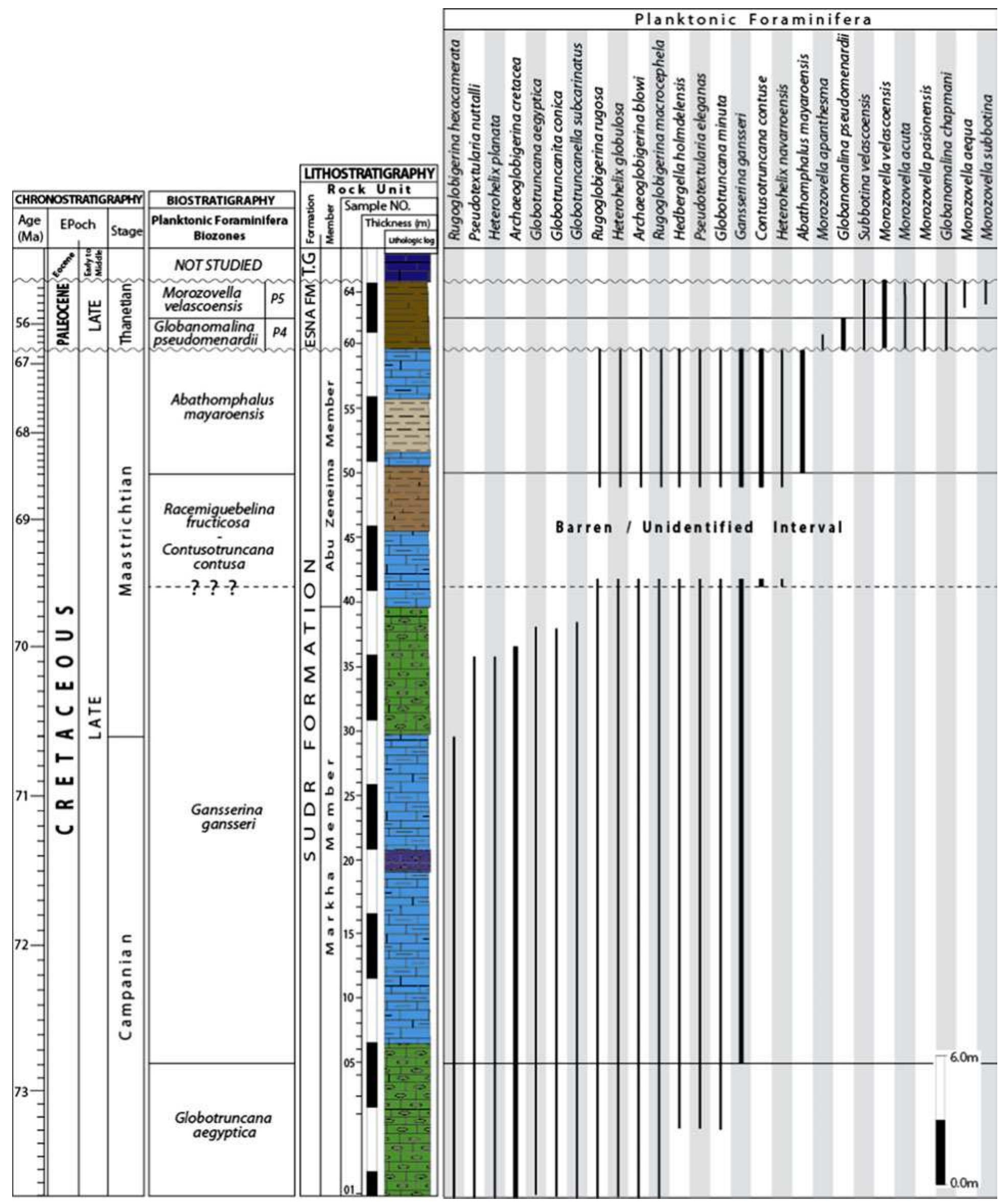 (PDF) Biostratigraphy and stage boundaries of the upper Cretaceous ...