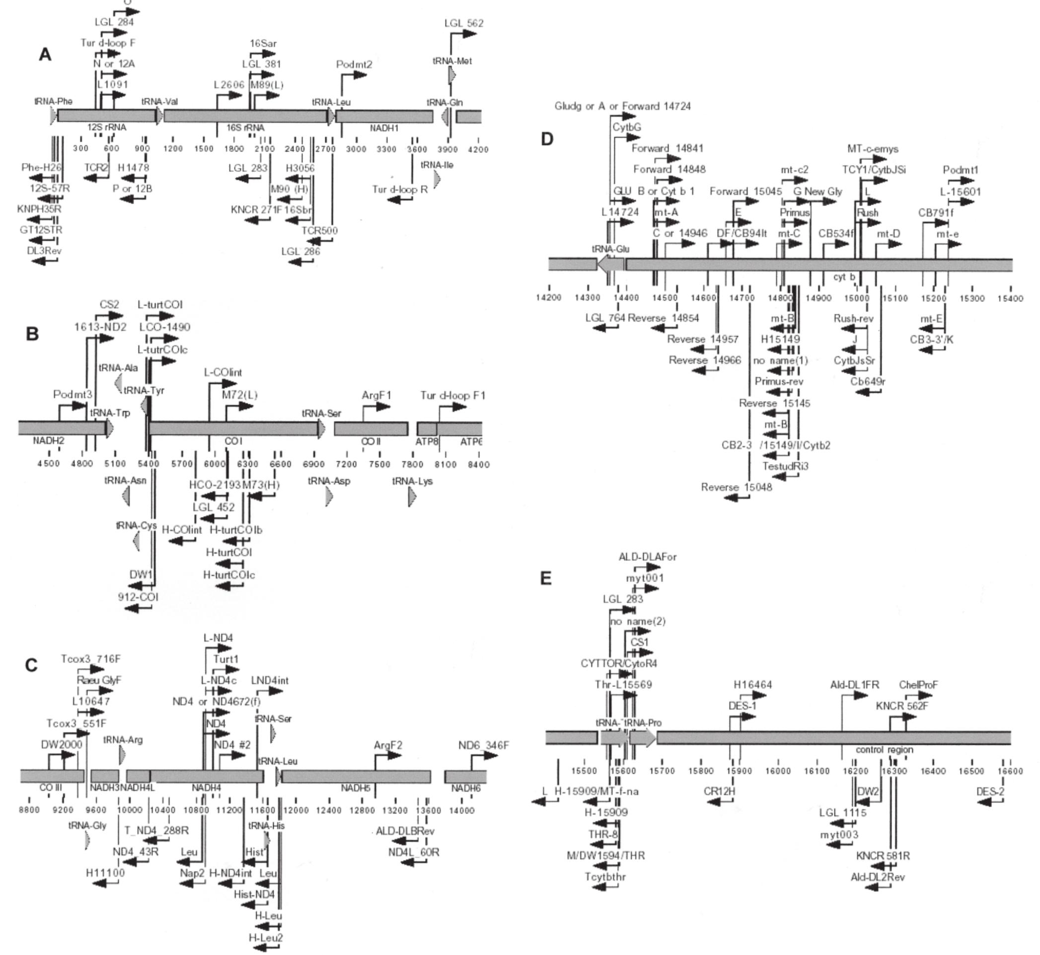 The five panels depict map of 5’ position and orientation of