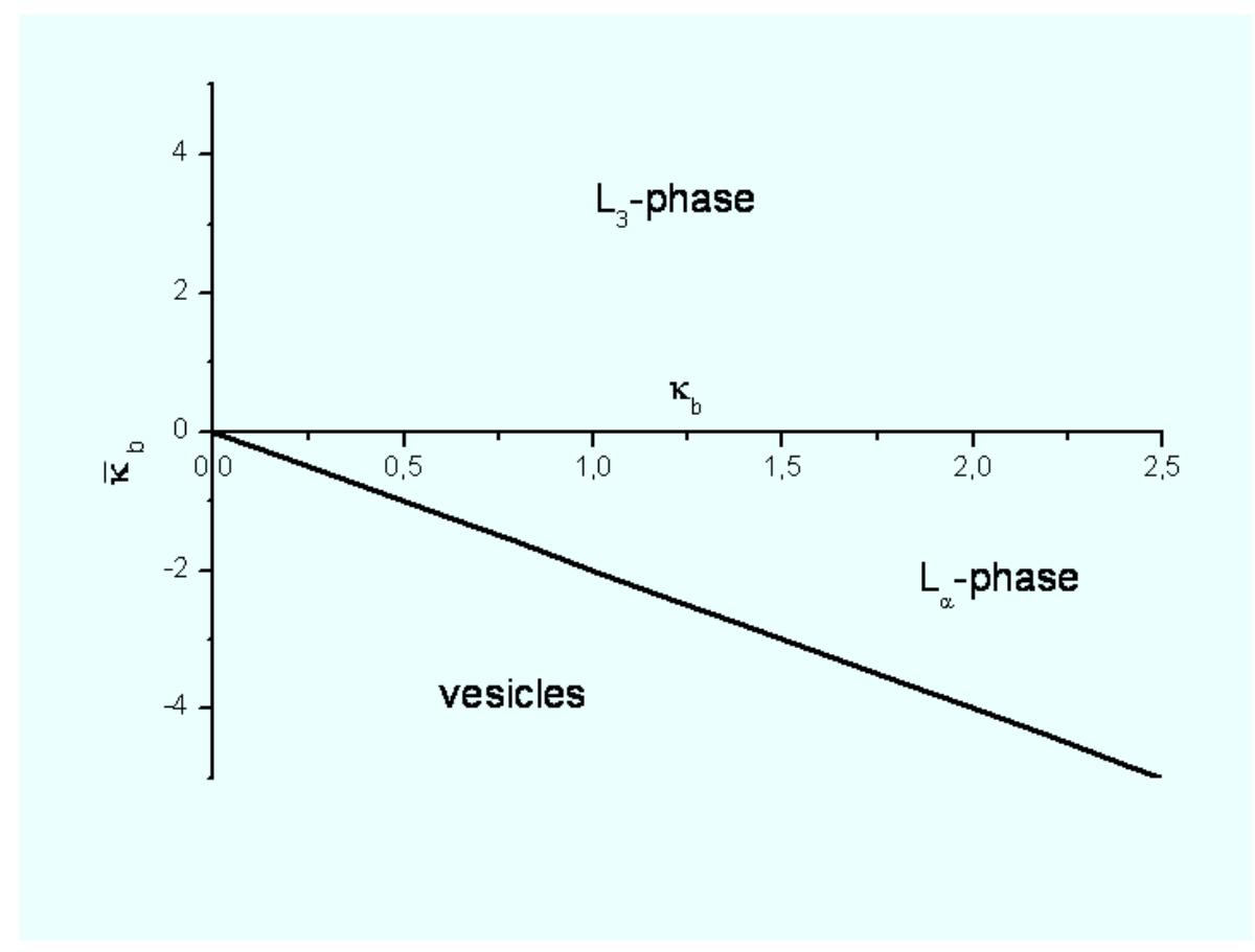1: schematic phase diagram of bilayer structures as a