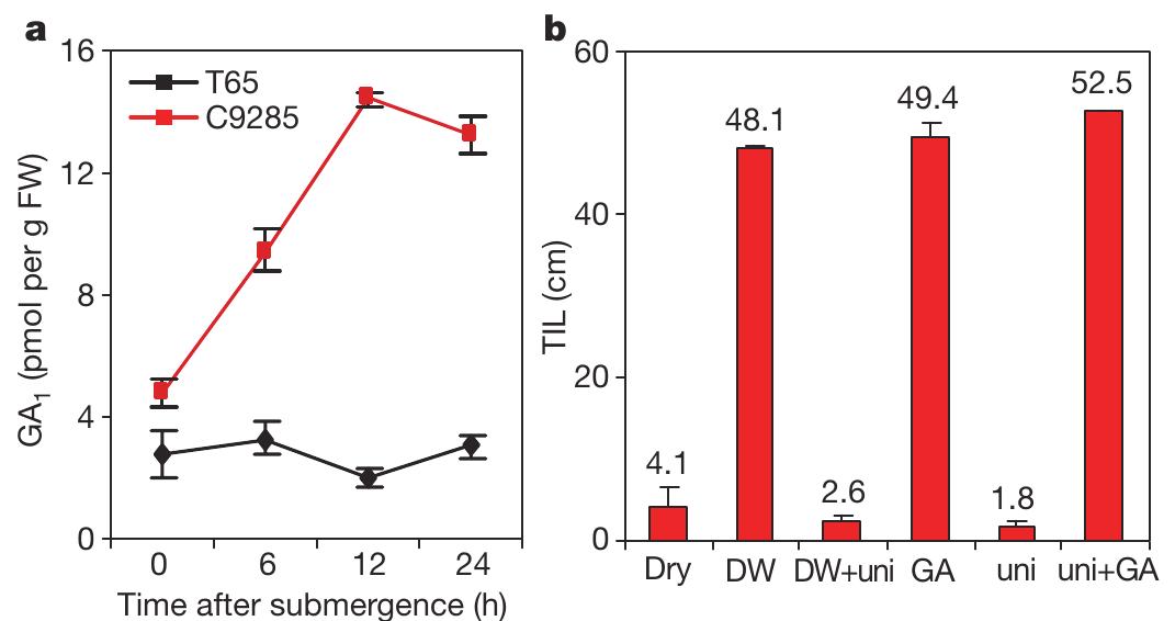 (PDF) The ethylene response factors SNORKEL1 and SNORKEL2 allow rice to ...