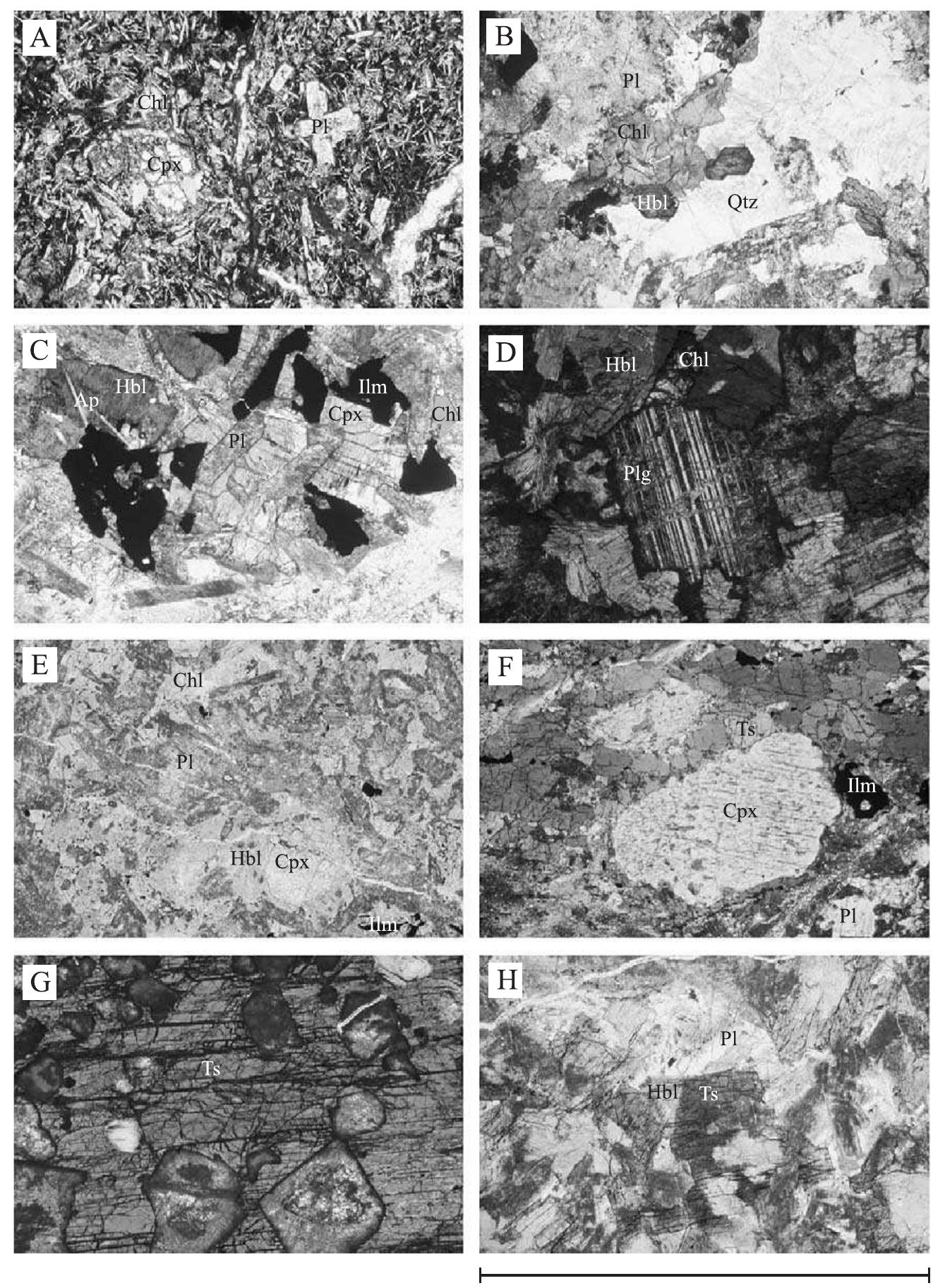 Figure 7 - from Petrology and geochemistry of mafic rocks