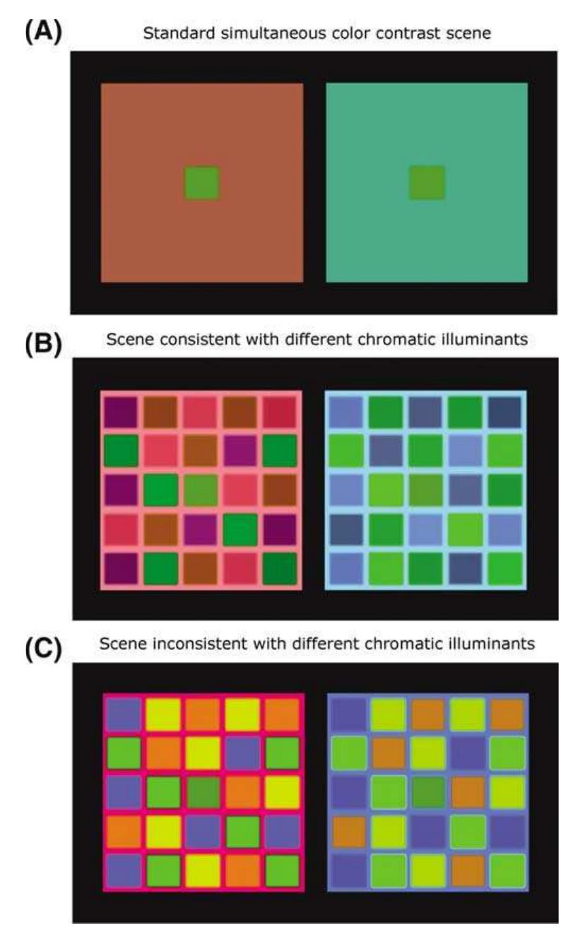 (PDF) The empirical basis of color perception