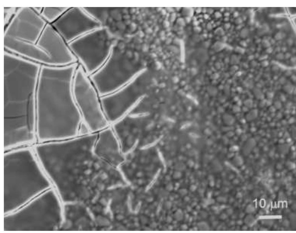 Scanning electron microscope micrographs of thermally etched
