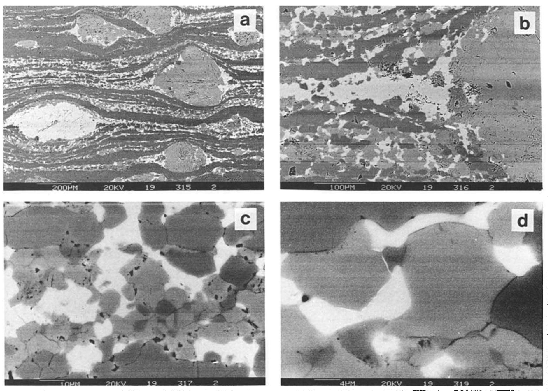 Sem backscattered electron images of microstructural