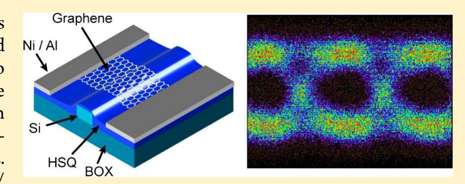 (PDF) 50 GBit/s Photodetectors Based on Wafer-Scale Graphene for ...