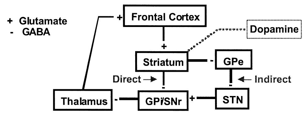 Direct and indirect pathways of the basal ganglia and
