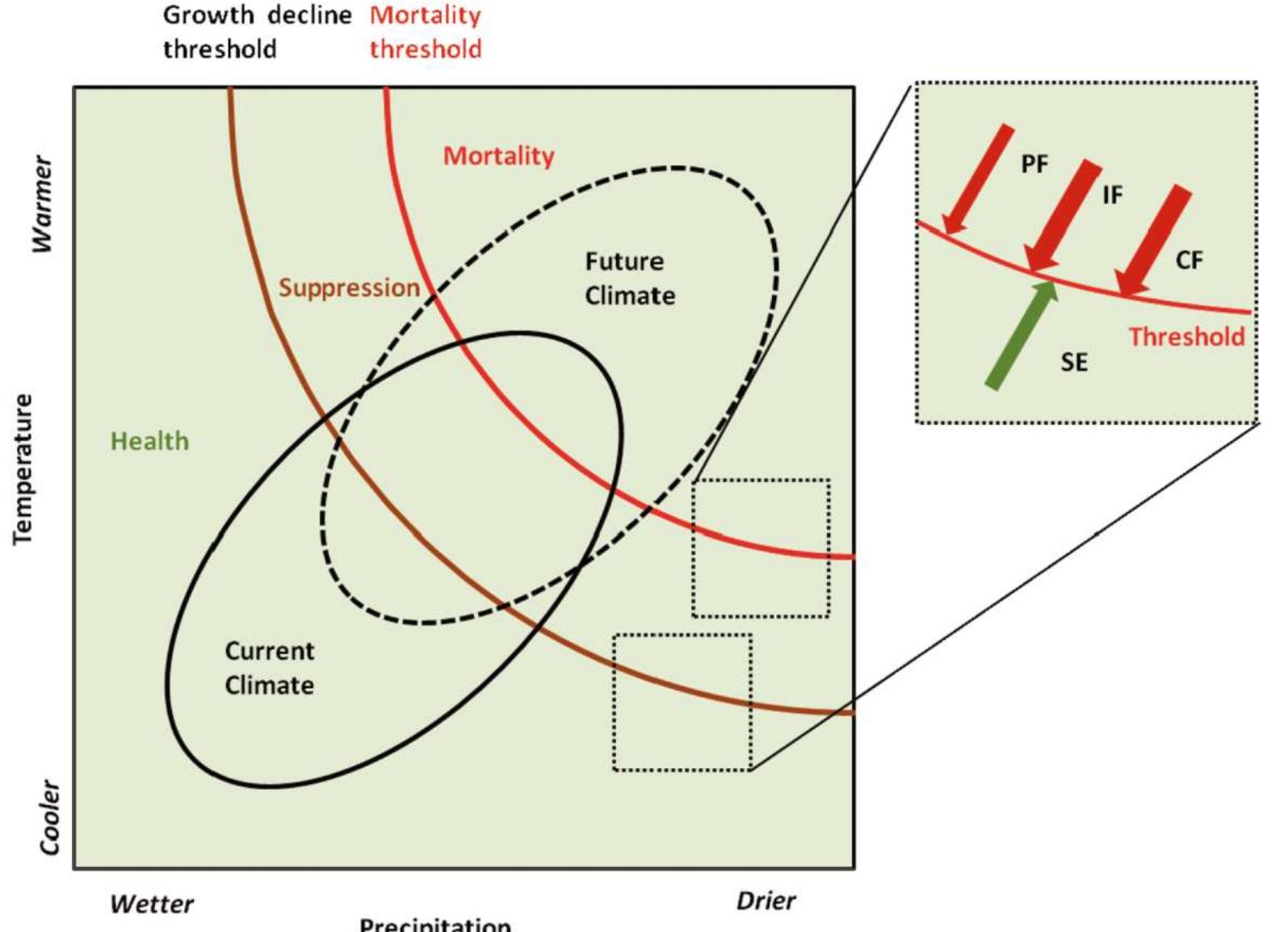 Figure 4 - from Drought-induced tree mortality: ecological