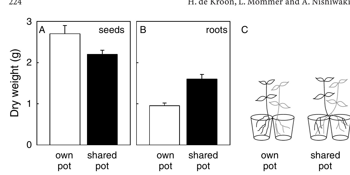 Root Competition (PDF) Root competition: towards a mechanistic understanding