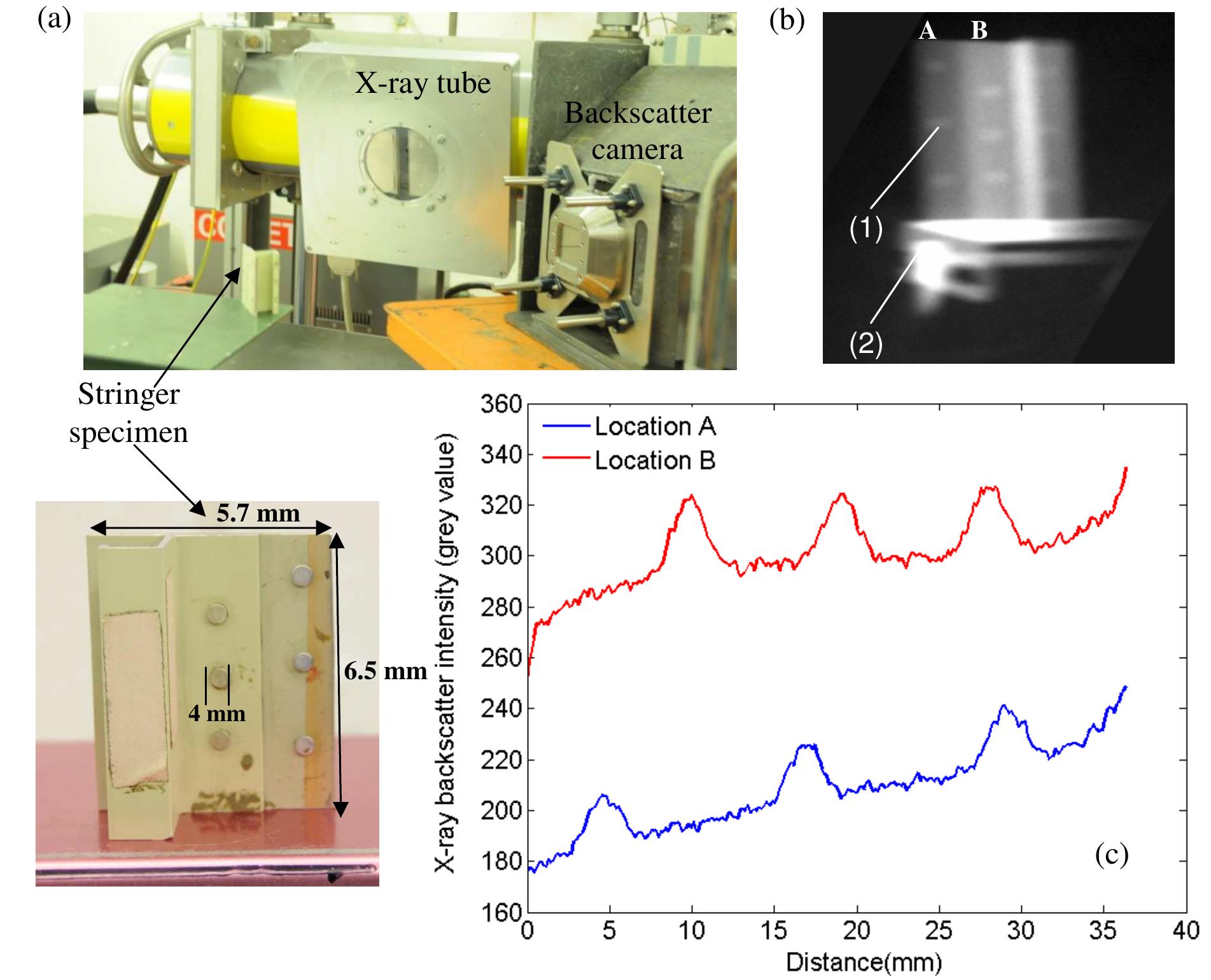 (PDF) A new X-ray backscatter imaging technique for non-destructive ...
