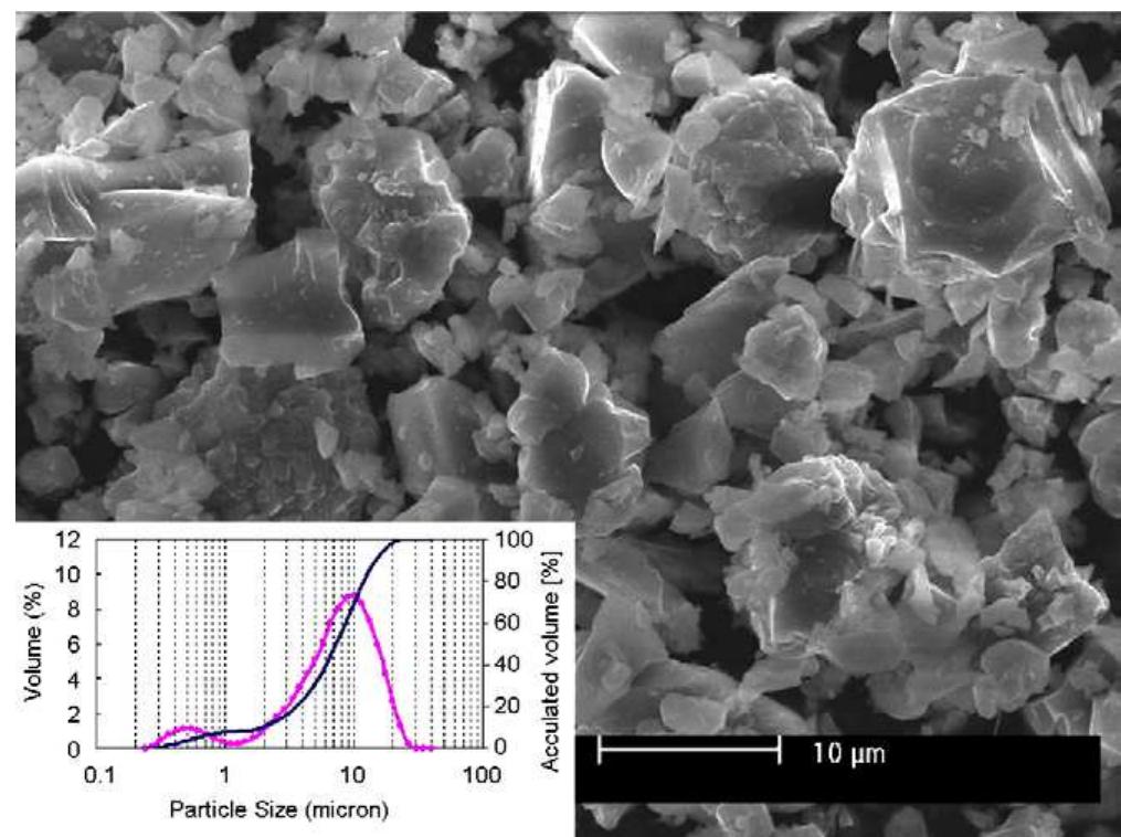 Sem image showing the morphology of the ain reinforcement
