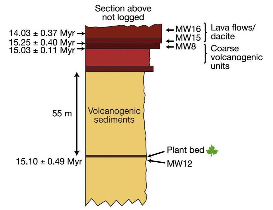 Figure 1 - from Miocene to Pleistocene floras and climate of