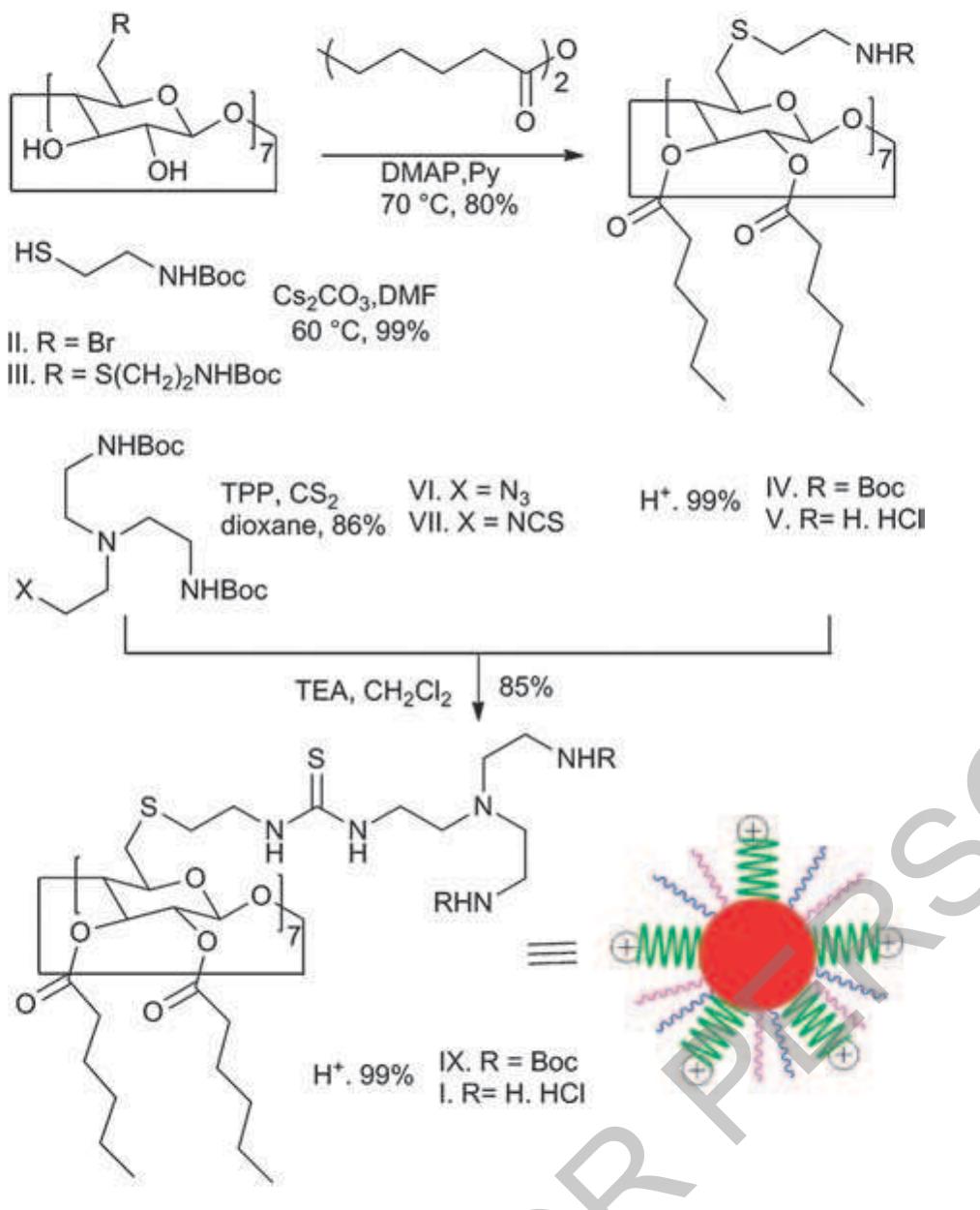 Reaction pathway for the synthesis and chemical structure of