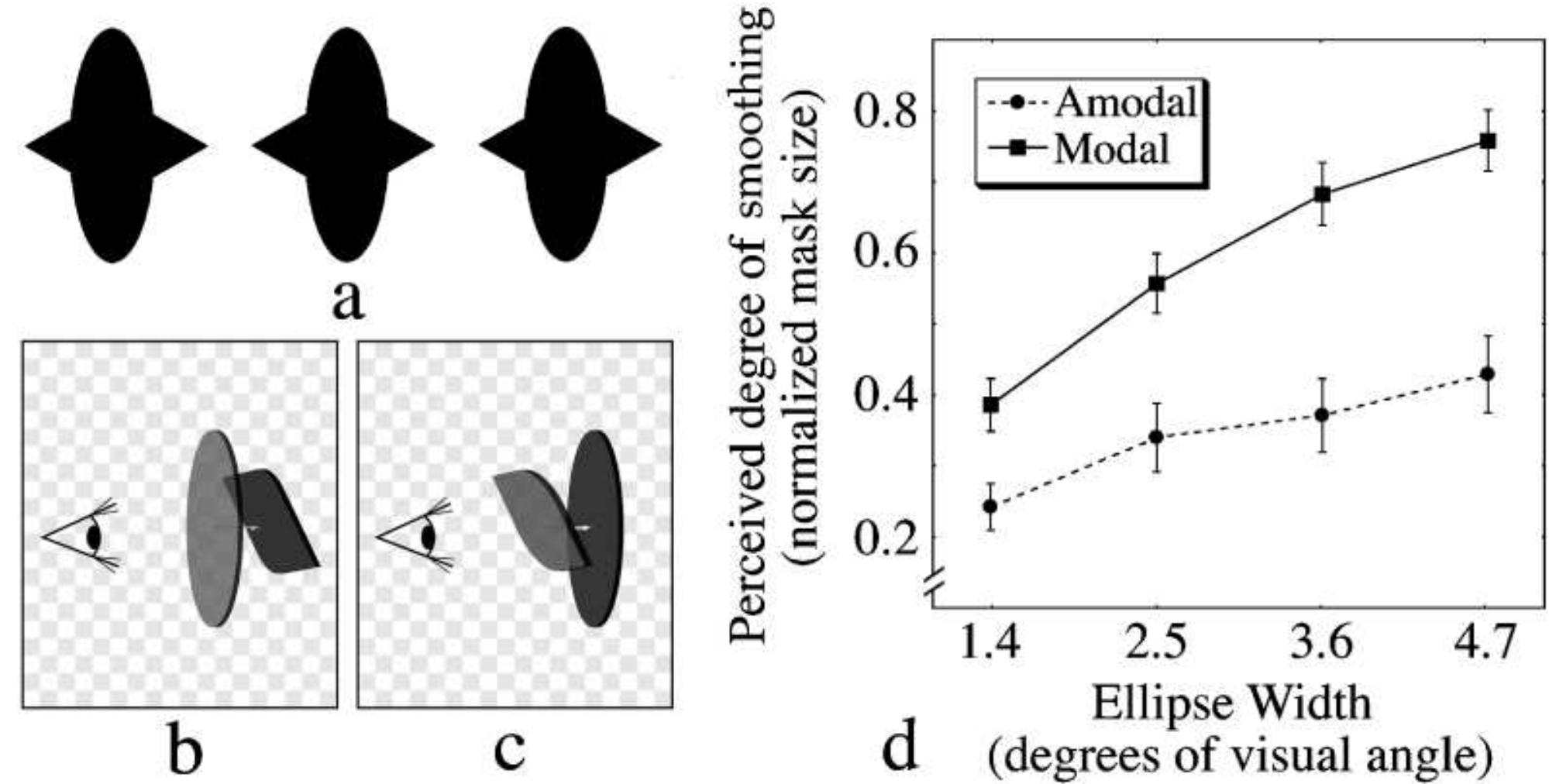 (PDF) Modal and Amodal Completion Generate Different Shapes